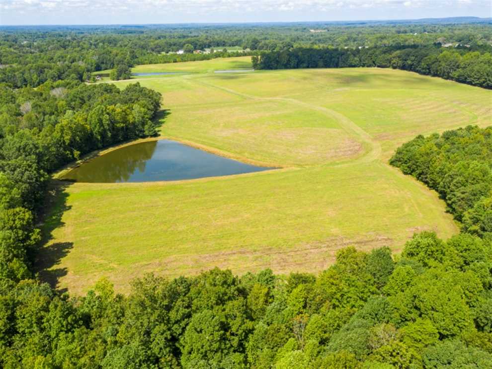 Residential and   property for sale on The Land Market