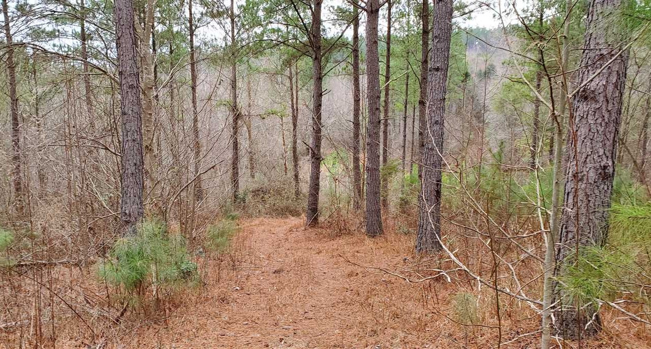 144 Acres of Land for sale in rutherford County, North Carolina