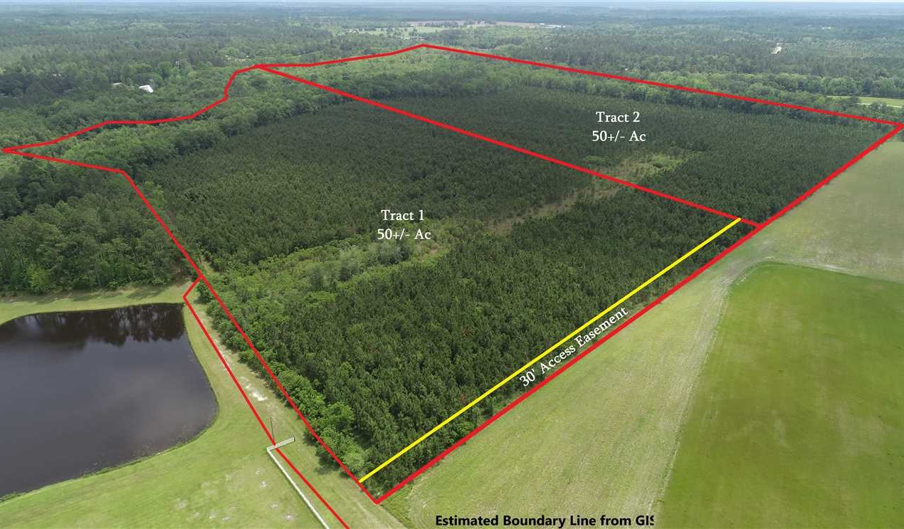 50 Acres of Land for Sale in wayne County Georgia