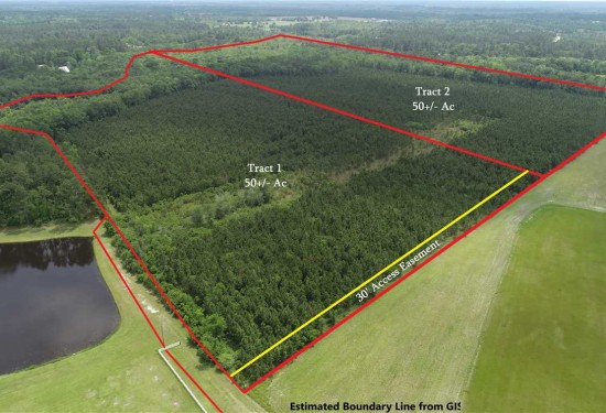 50 Acres of Land for Sale in wayne County Georgia