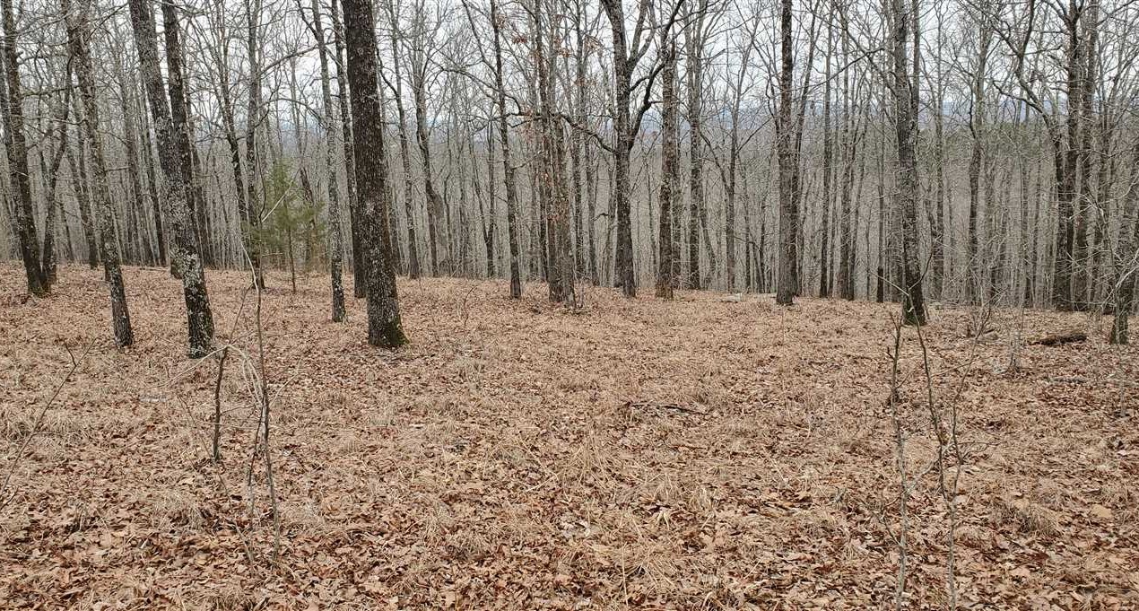 8 Acres of Recreational land for sale in Vilonia, faulkner County, Arkansas
