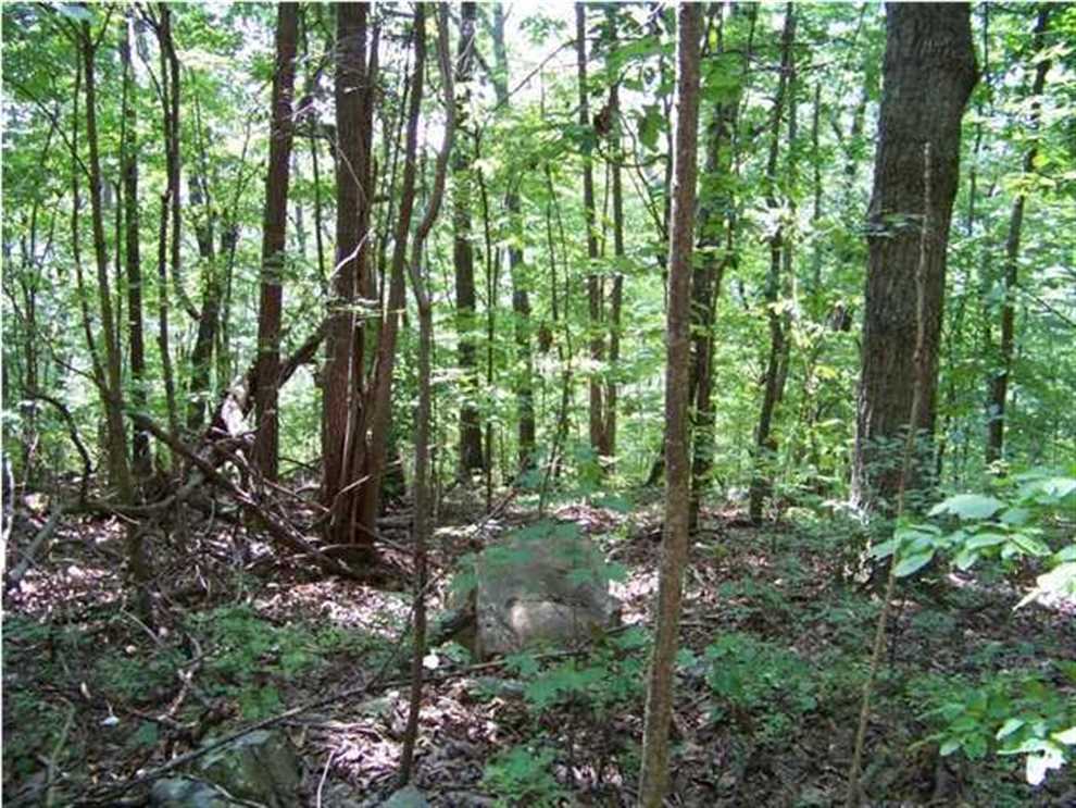 Houses and land for sale in Tennessee