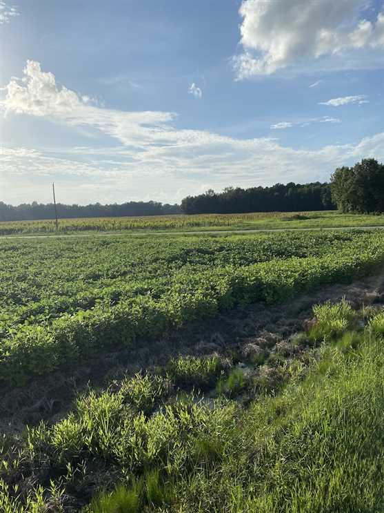 property for sale on The Land Market