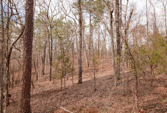 174 Acres of Land for Sale in elmore County Alabama