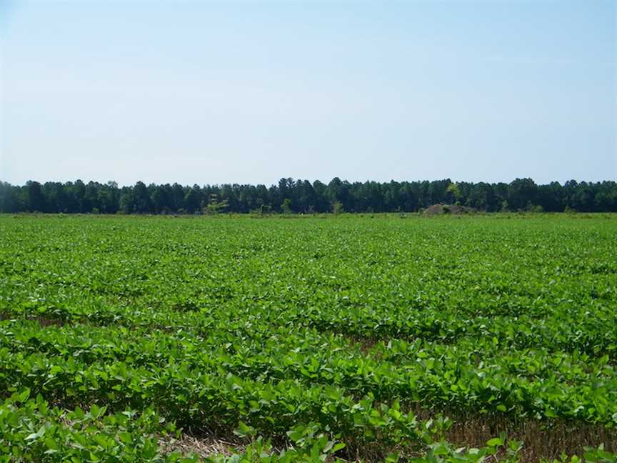 0.36 Acres of Land for sale in southampton County, Virginia
