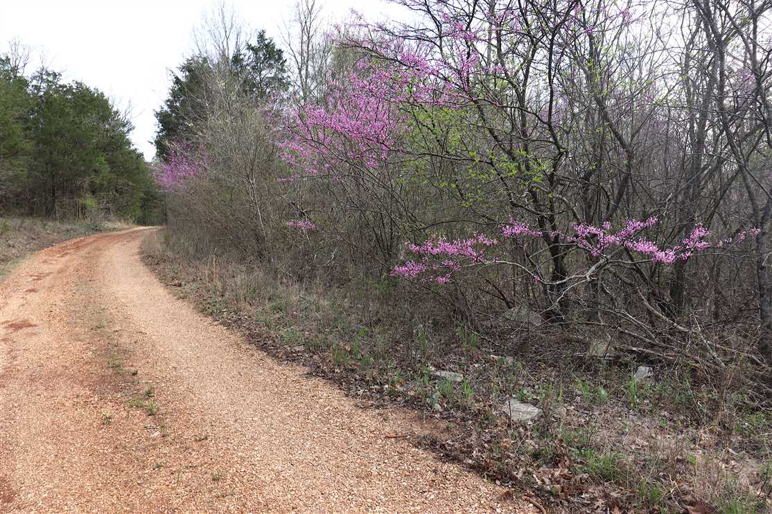10 Acres of Land for sale in carroll County, Arkansas