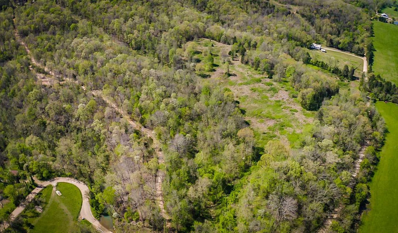 8.2 Acres - Parthenon, AR Real estate listing