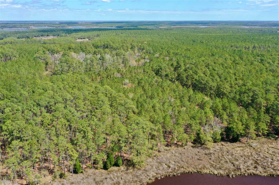 Land for sale to buy in 27875 zip code