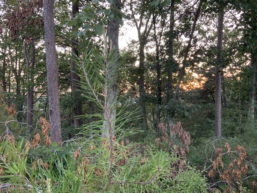 Land for sale to buy in 37185 zip code