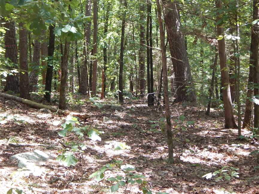 Land for sale at 000 Creekside Dr.