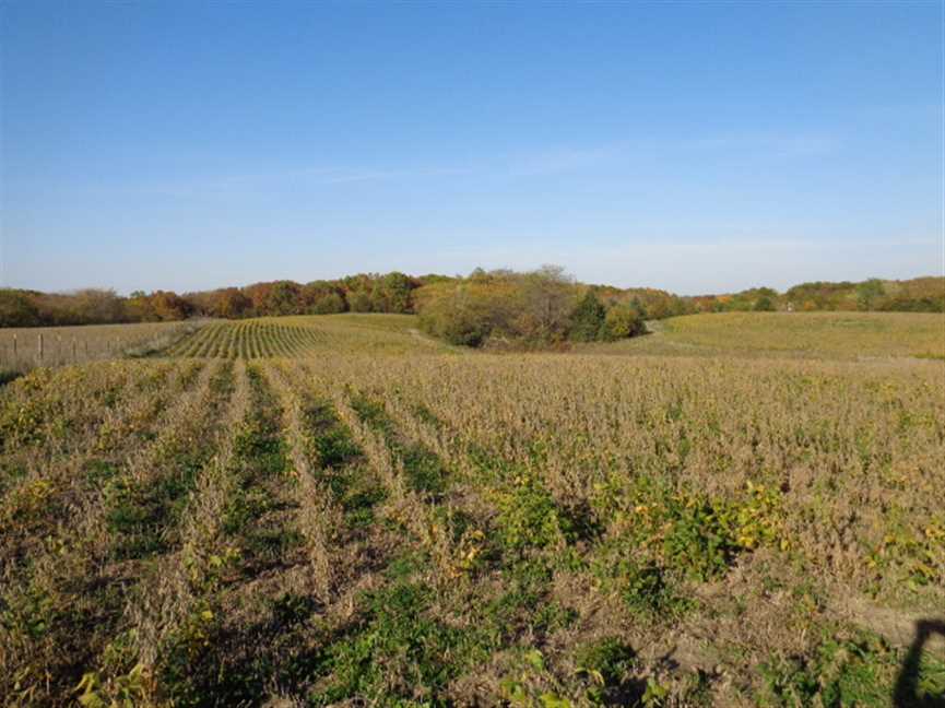 111 Acres of Recreational land for sale in Centerville, appanoose County, Iowa