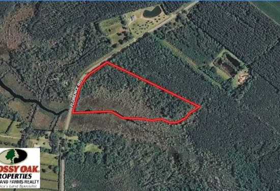 17.82 Acres of Land for Sale in pamlico County North Carolina