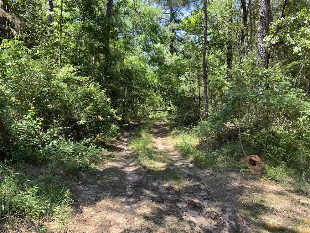 property for sale on The Land Market