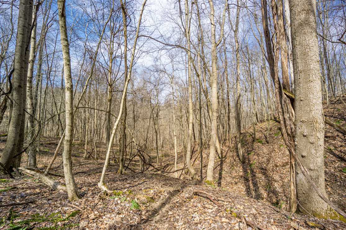 5.2 Acres of Land for sale in hocking County, Ohio
