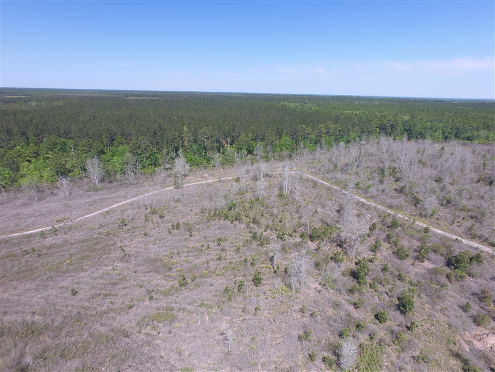 94.67 Acres of Recreational land for sale in Odum, wayne County, Georgia