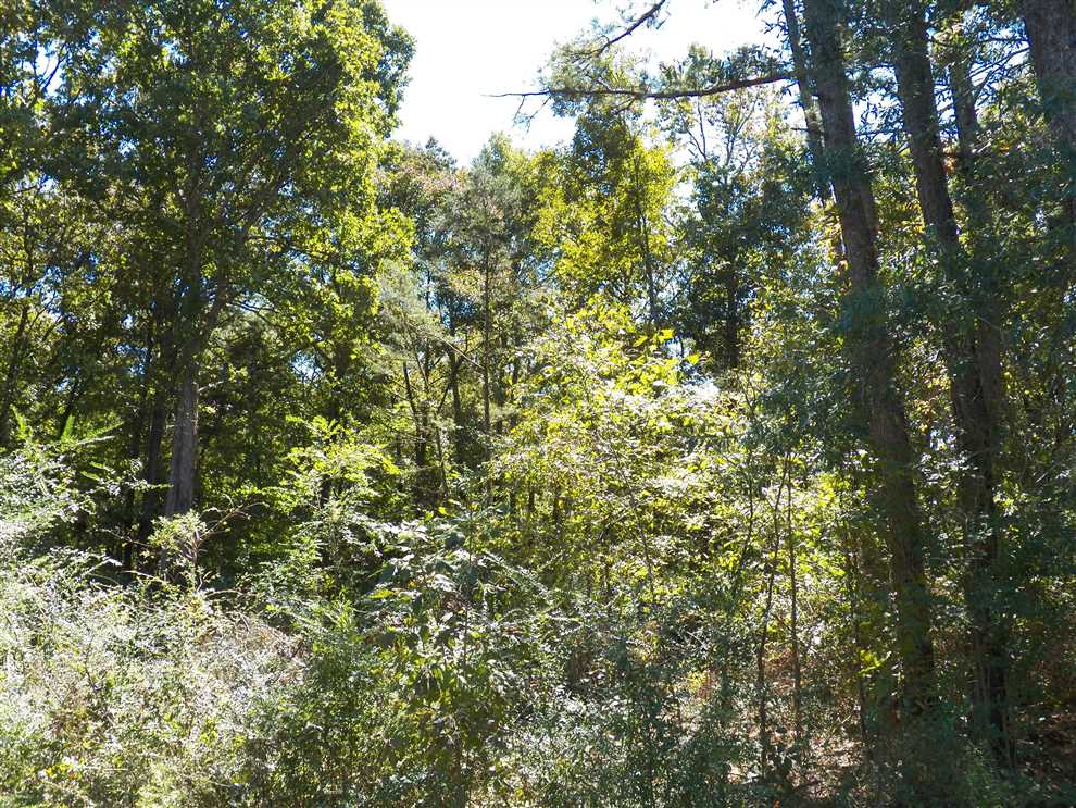 van buren County, Arkansas property for sale