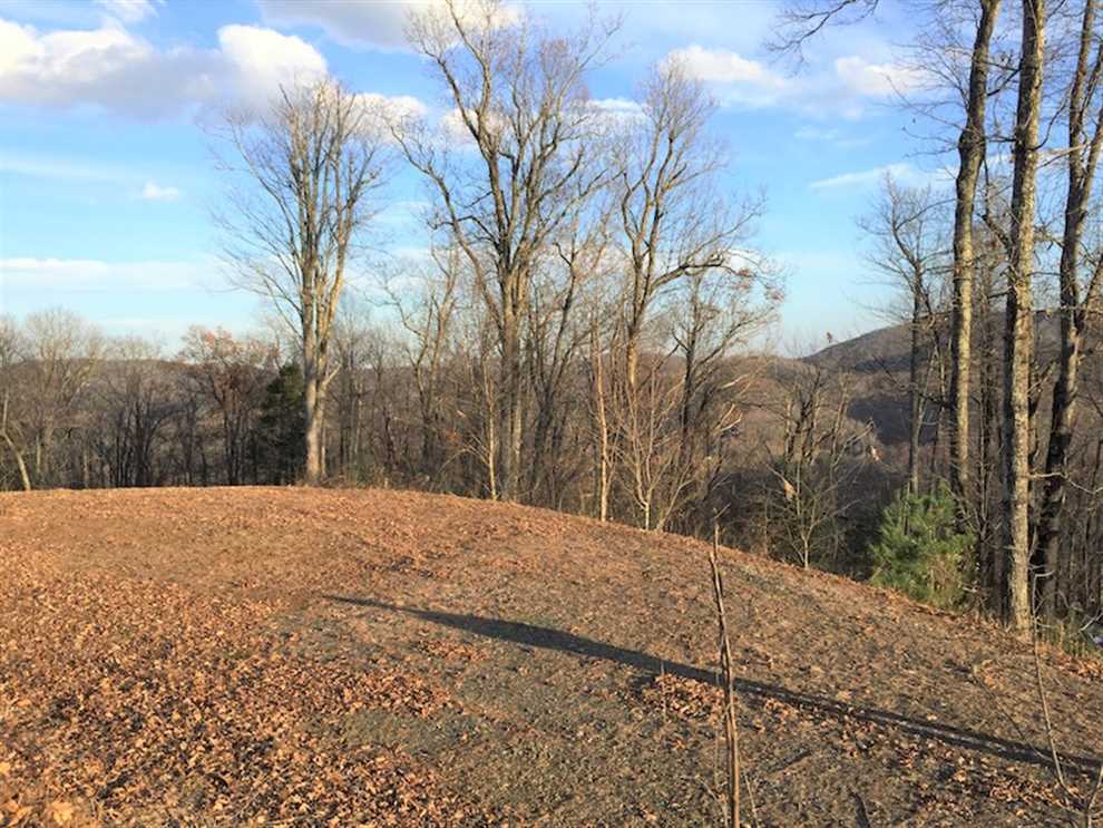 Property for sale at 00 Wintergreen Patch Lane