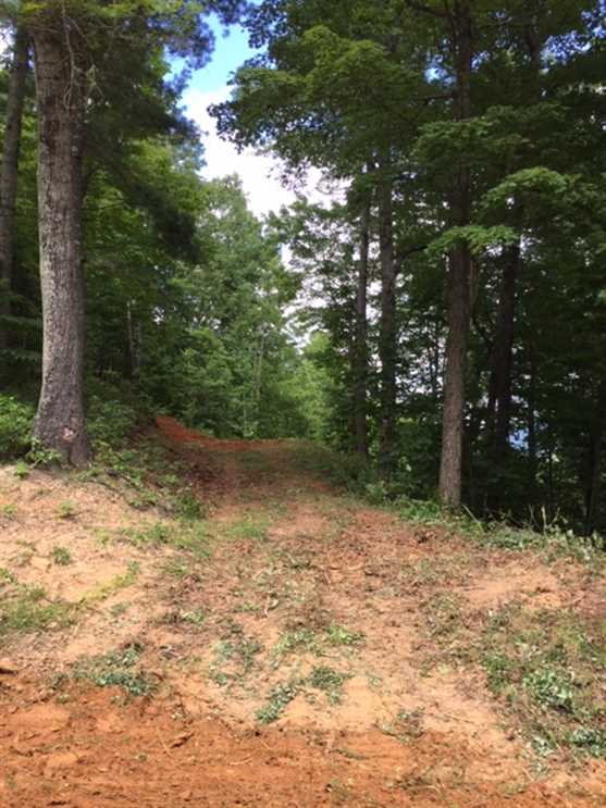 11.03+/- Acres in Lenoir, Caldwell County Real estate listing
