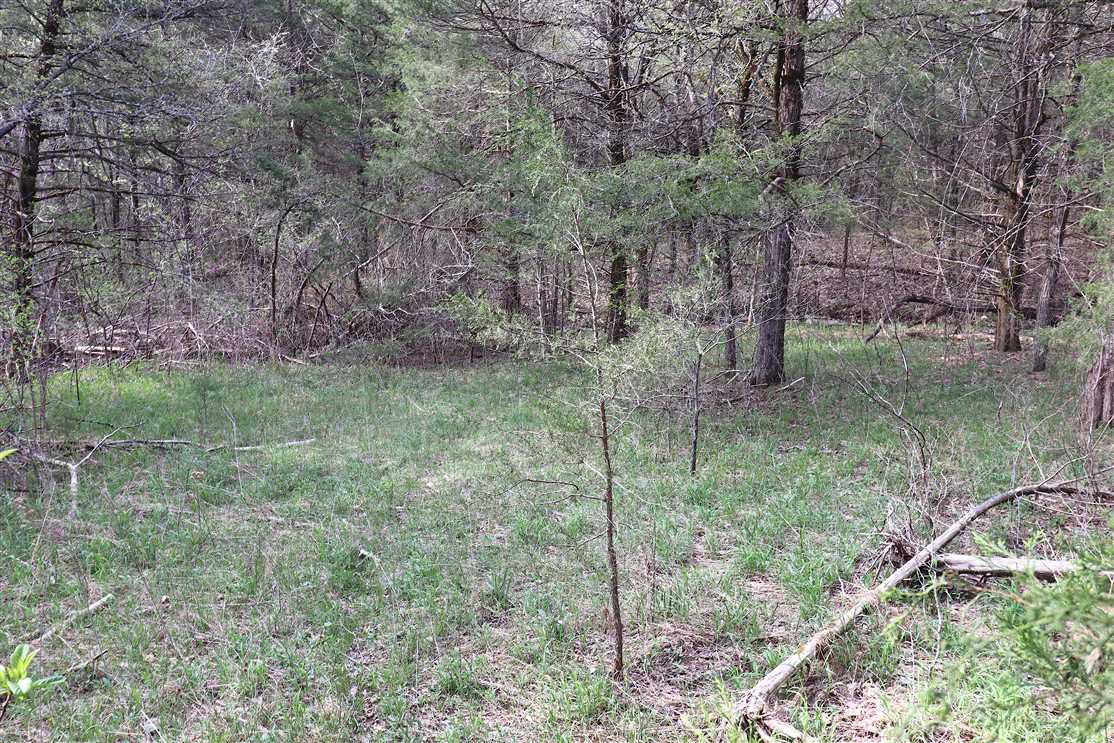 Property for sale at