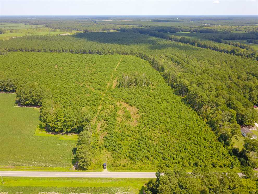 Property for sale at 601 NC Hwy 11 N