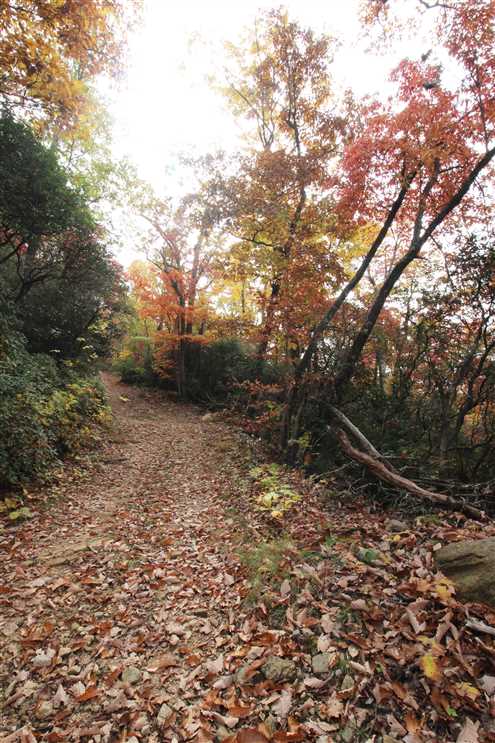 Recreational real estate available to buy