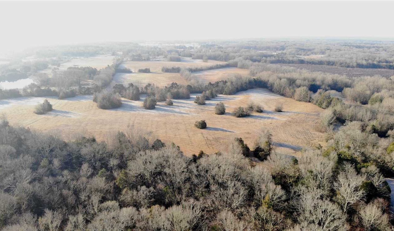 131 Acres of Land for Sale in clay County Mississippi
