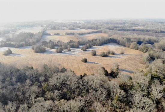 131 Acres of Land for Sale in clay County Mississippi