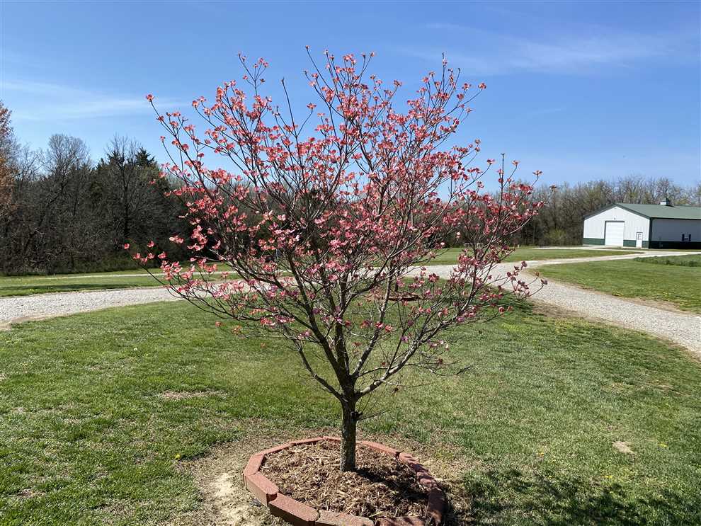 Land for sale at 3192 Highway Z