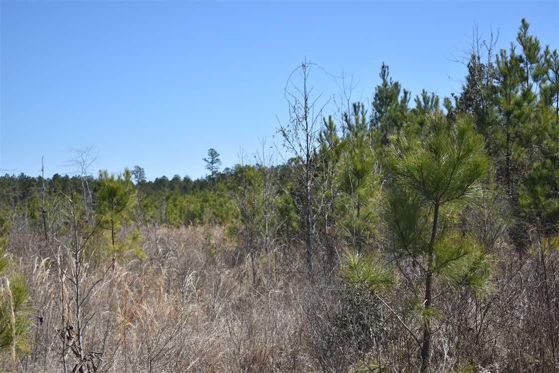 Recreational and   property for sale on The Land Market
