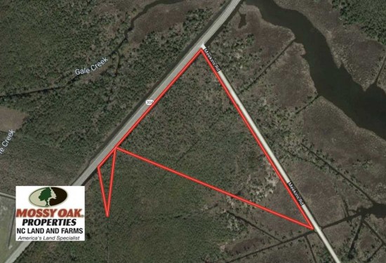16.64 Acres of Land for Sale in pamlico County North Carolina