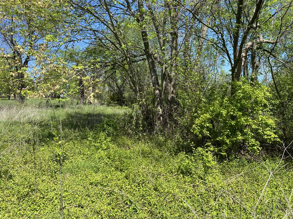 5 Acres of Residential land for sale in Excelsior Springs, ray County, Missouri