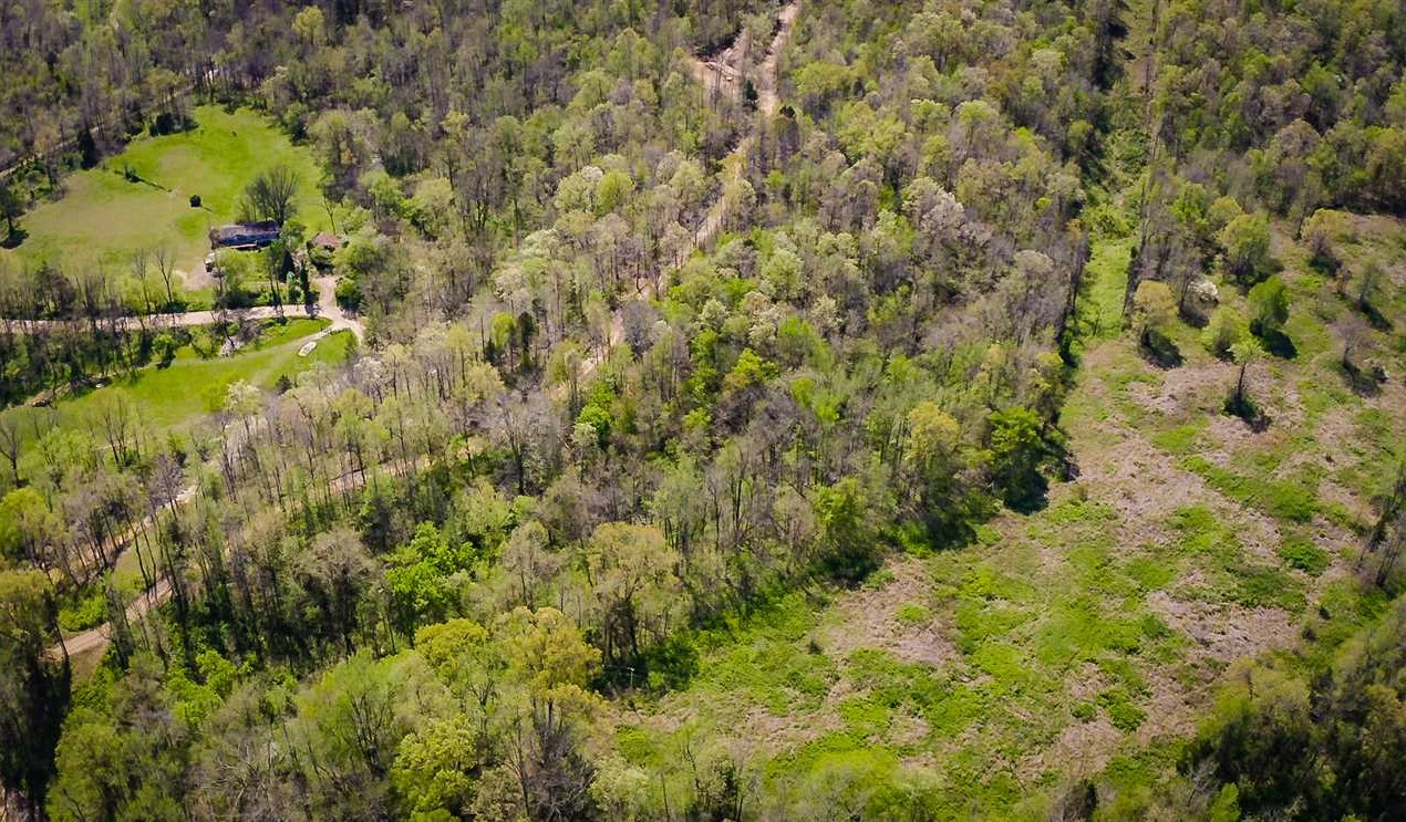 8.2 Acres of Recreational land for sale in Parthenon, newton County, Arkansas
