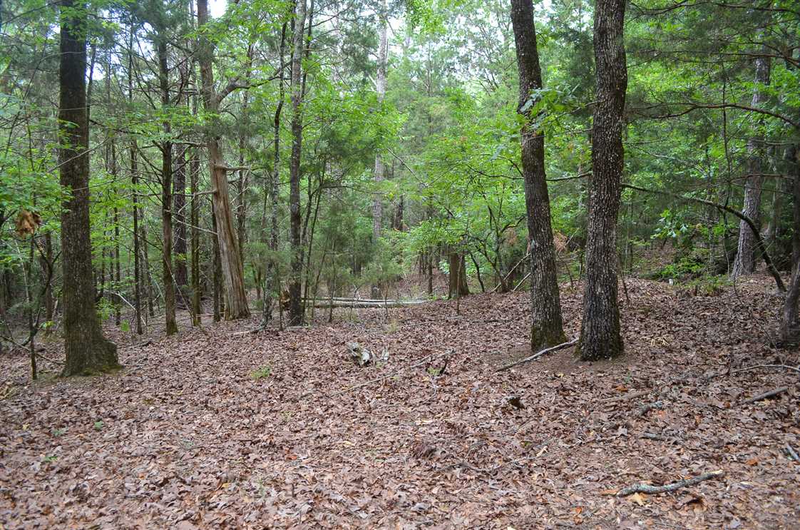 elmore County, Alabama property for sale