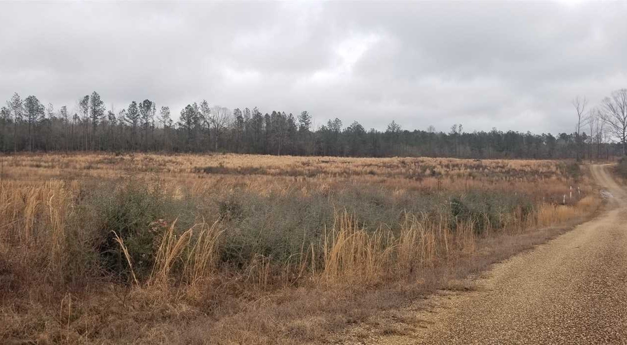 winn County, Louisiana property for sale