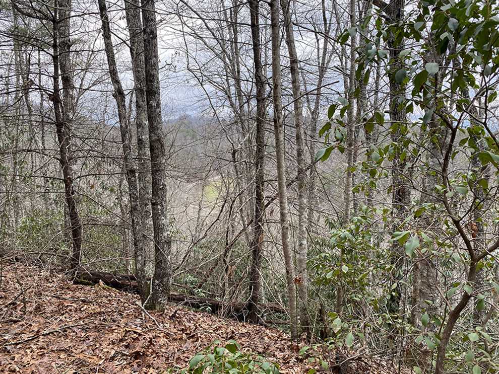 property for sale on The Land Market