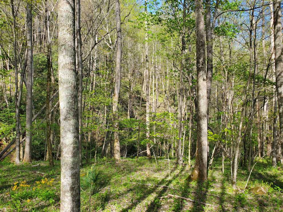 Property for sale at near 9433 Blackberry Road