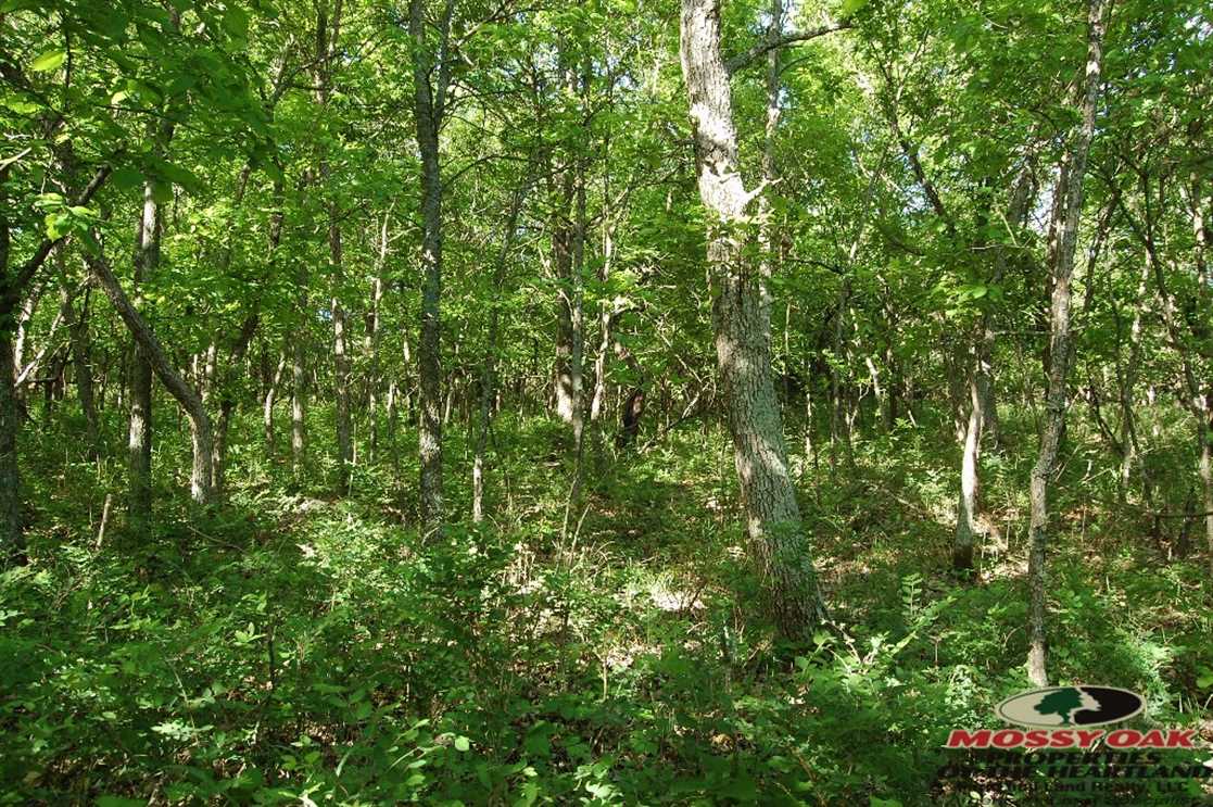 Recreational and   property for sale on The Land Market