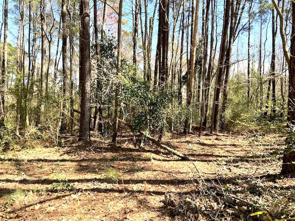 REDUCED!  +/- 2.30 Acres of Residential Land For Sale in Columbus County NC! Real estate listing