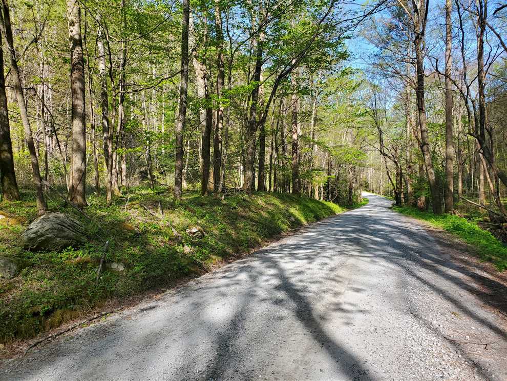 12.26+/- Acres in Lenoir, Caldwell County Real estate listing
