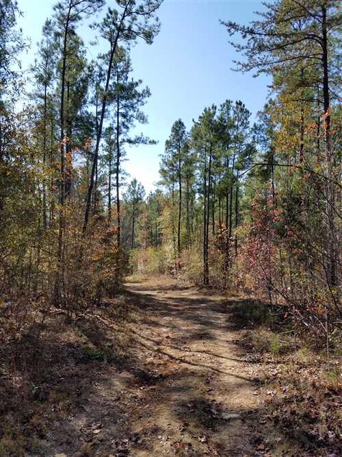 Recreational real estate available to buy