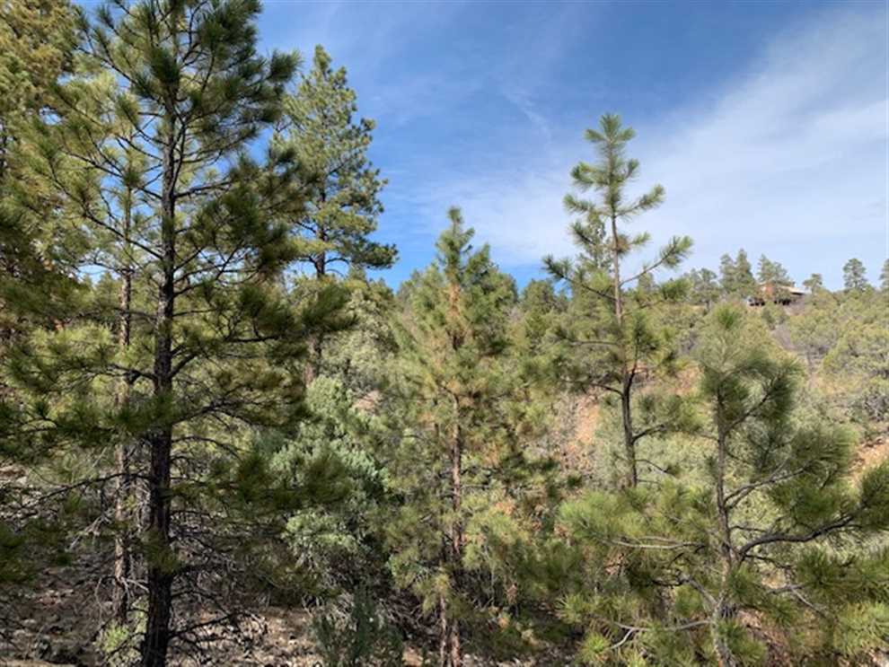 20 Acres of Residential land for sale in Los Ojos, rio arriba County, New Mexico