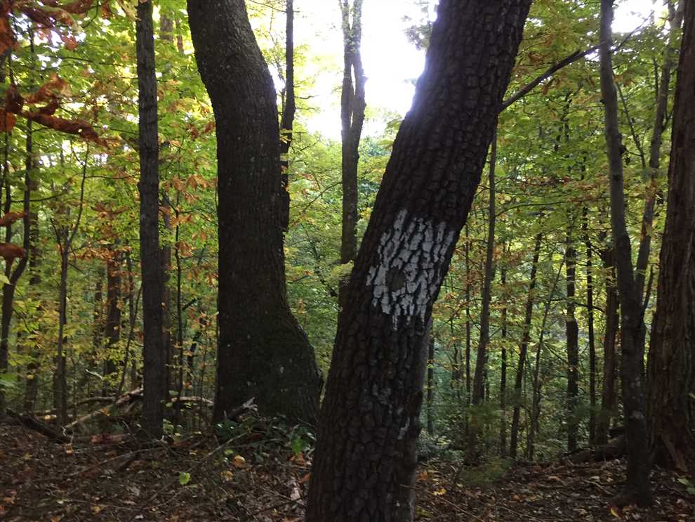 Property for sale at 000 Stone Mountain Road