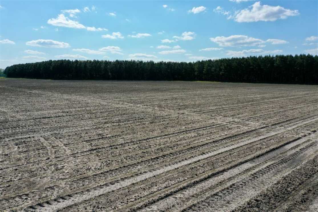 Farmland real estate available to buy