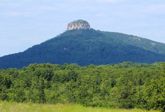 110.97 Acres of Land for Sale in stokes County North Carolina