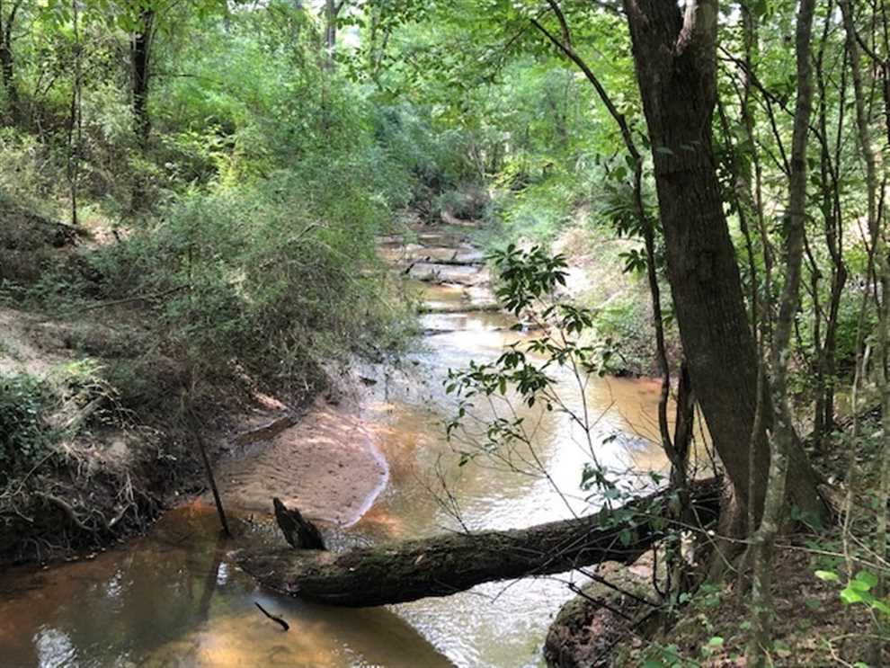 jefferson davis County, Mississippi property for sale