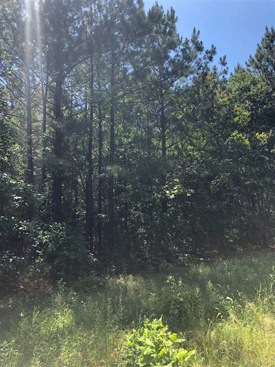 Property for sale at