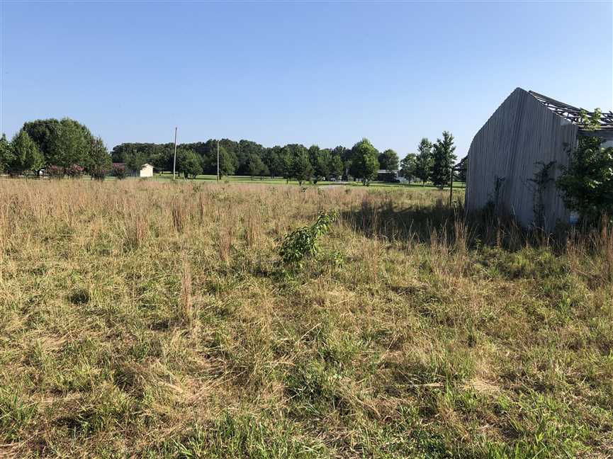 white County, Arkansas property for sale