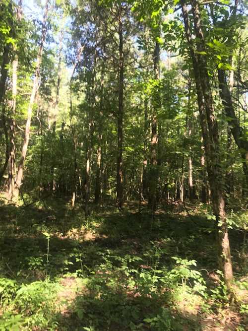 Houses and land for sale in Mississippi