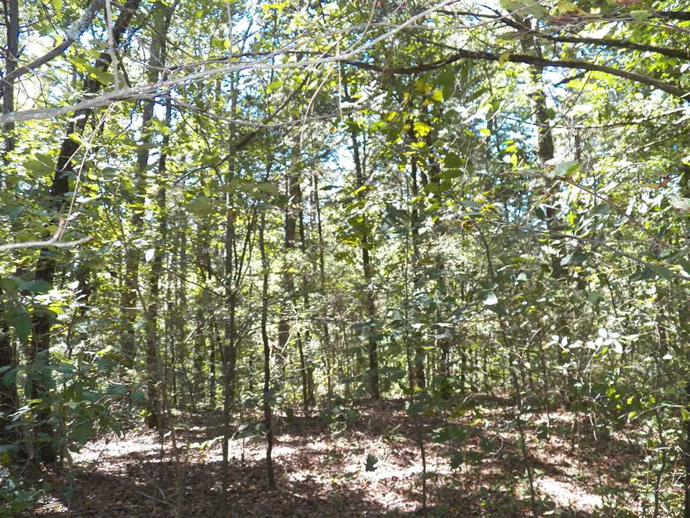 7.54 Acres of Land for sale in van buren County, Arkansas