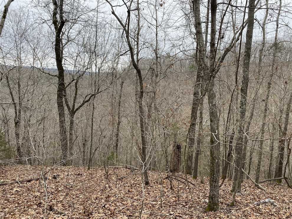 Land for sale at Holmes road